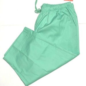New Coral Bay Woman Capri Pants Sz 1 X Apple Green